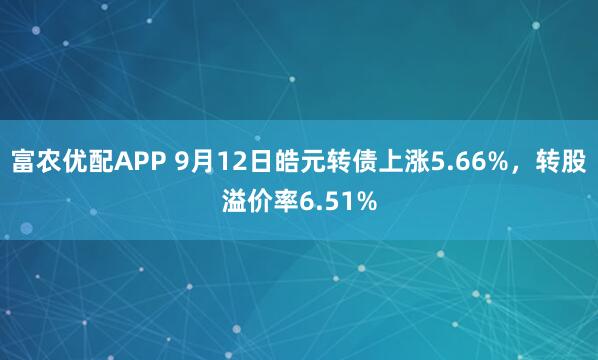 富农优配APP 9月12日皓元转债上涨5.66%，转股溢价率6.51%