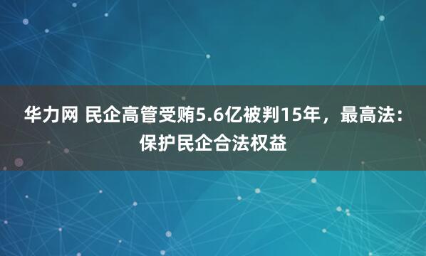 华力网 民企高管受贿5.6亿被判15年，最高法：保护民企合法权益